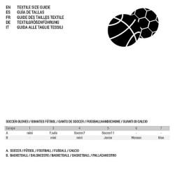 Basketball Aktive